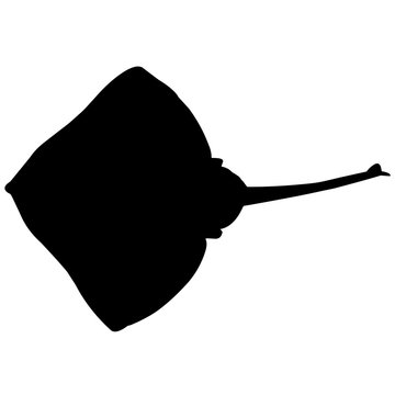 recommend clip art: Ray Silhouette Vector Graphics