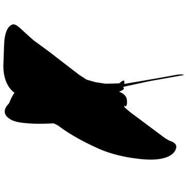 recommend clip art: Ray Silhouette Vector Graphics