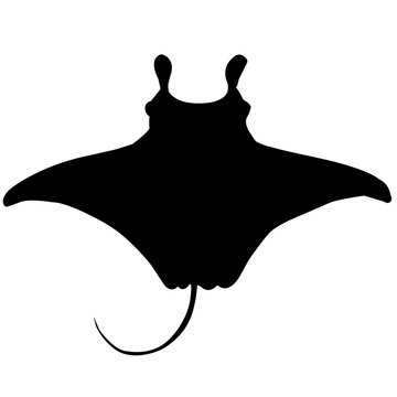 black manta ray silhouette clip art preview