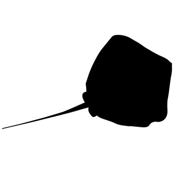 recommend clip art: Ray Silhouette Vector Graphics
