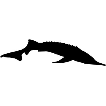 black sturgeon silhouette on white background clip art preview