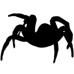 Trapdoor spider Silhouette Vector Graphics