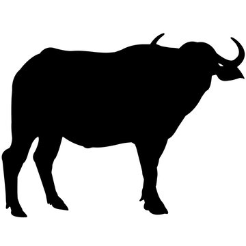 Water buffalo Silhouette Vector Graphics