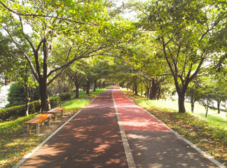 길게 뻗은 산책로 양쪽으로 가로수들이 늘어 서 있다.