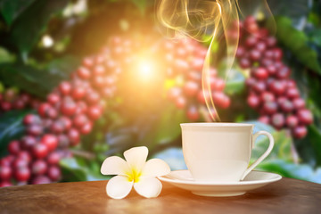 Hot cup of coffee with white flower decor on table over the coffee plantations background