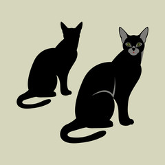 cat   vector illustration  black silhouette  flat style   profile