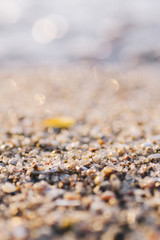 On The Sea Beach