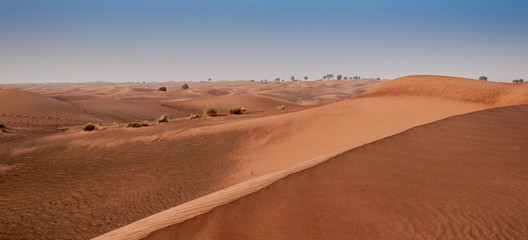 Fototapeta na wymiar Sand dunes, UAE