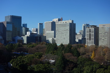 Fototapeta na wymiar ビルから見える東京の都市風景