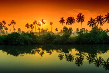 Papier Peint photo Lavable Réflexion des rangées de palmiers se reflètent dans un lac à l& 39 aube. Teinté.