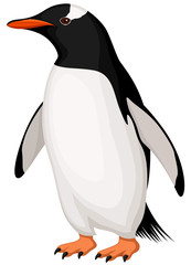 Vector illustration of a Gentoo Penguin.