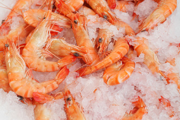 Obraz na płótnie Canvas Many fresh shrimps
