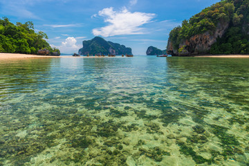 coral bottom at low tide in a beautiful place in Thailand