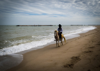 Man rids horse at ocean front. Horse riding man on the sand at Thailand beach.