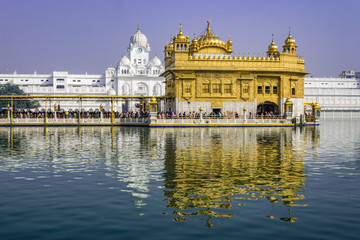 Fototapeta premium Golden Temple, Sikh Gudwara in Amritsar, India. .Reflections on sacred pond of Harmandir Sahib, holiest shrine of the Sikh religion. Famous Indian landmark on sunny day.