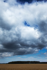 Obraz na płótnie Canvas Cloudy sky over agricultural field.