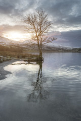 Fototapeta na wymiar Stunning sunrise landscape image in Winter of Llyn Cwellyn in Snowdonia National Park with snow capped mountains in background