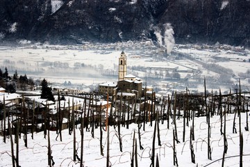 Fototapete bei efototapeten.de bestellen   