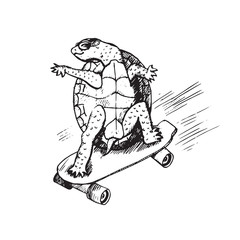 Cartoon character of turtle in glasses on skateboard, hand drawn doodle sketch, isolated vector outline illustration