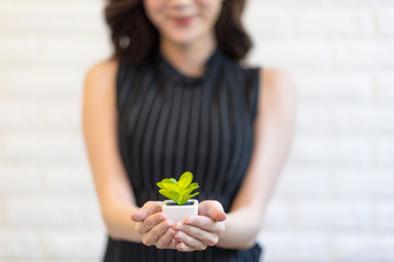 woman's hands holding a green young plant