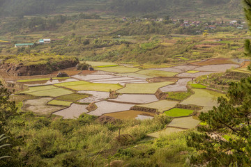 Fototapeta na wymiar Stepped Of Rice Terraces In Benguet, Ifugao.