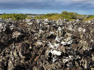 Stuffed lava on island Islote Tintoreras commemorates the moonland, Galapagos, Ecuador