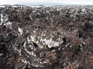 Stuffed lava on island Islote Tintoreras commemorates the moonland, Galapagos, Ecuador