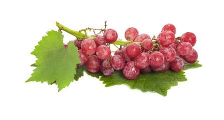 Red grape with leaf isolated on white background