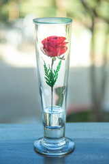 Red Rose in glass