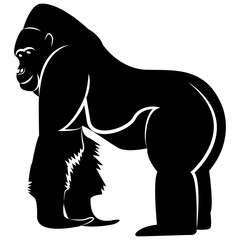 Vector image of a silhouette gorilla on a white background © Sergiy
