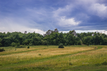 Fototapeta na wymiar Polish Jurassic Highland, Silesia region in Poland - Ogrodzieniec Castle ruins on background