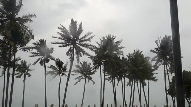 Monsoon season with strong wind and heavy rain on tropical island