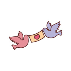 Dove Bird Love Message Vector Illustration Graphic