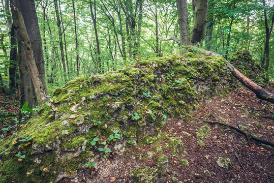 Barely visible remains of Ostreznik Castle in Polish Jurassic Highland, Silesia region in Poland