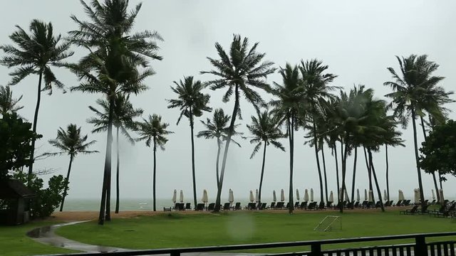 Monsoon season with coconut tree on the beach blowing in the wind with umbrella and beach chair