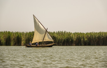 Traditional wooden boats sailing in a regatta. traditional sport, Latin sailing ships in the...