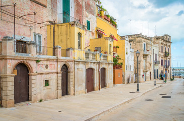 Fototapeta na wymiar Bisceglie old town, in the province of Barletta-Andria-Trani, Apulia, southern Italy.