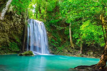 Fotobehang waterval in het tropische bos waar is in Thailand National Park © calcassa