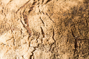 Home baked bread crust closeup