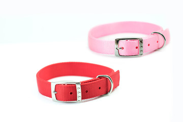 Pet supplies about collars of pink and red isolated on white background.