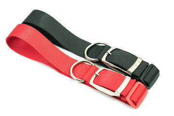 Pet supplies about collars for dog on white background.  Collars of black and red.