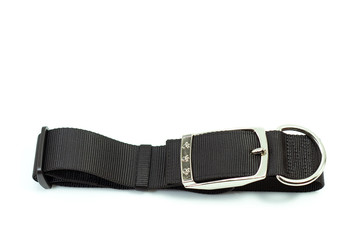 Pet supplies about collars for dog on white background.  Collars of black
