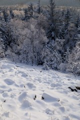 The view from Jedlova hora in Czech Republic. Landscape of Bohemian Switzerland National park in winter.