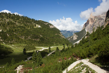Fototapeta na wymiar Sentiero Armentarola tra le Dolomiti (Trentino Alto Adige, Italia)
