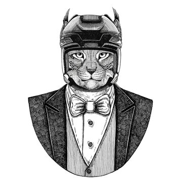Wild cat, Lynx, Bobcat, Trot Animal wearing jacket with bow-tie and hockey helmet or aviatior helmet. Elegant hockey player. Image for tattoo, t-shirt, emblem, badge, logo, patch