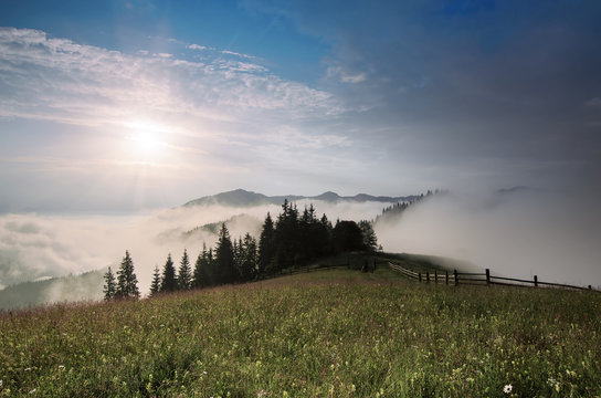 Foggy morning shiny summer landscape with mist, green meadow and sun shining