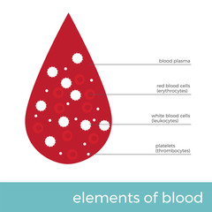 vector illustration blood elements. blood drop with main cells in it. 