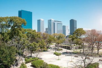 Fototapeta premium Park with the buildings in Tokyo, Japan.