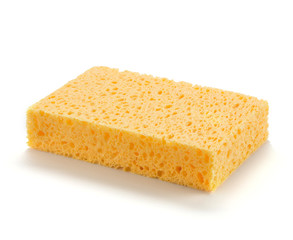 sponge to do the dishes