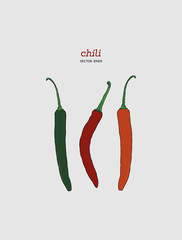 Chili Pepper hand drawn vector illustration.